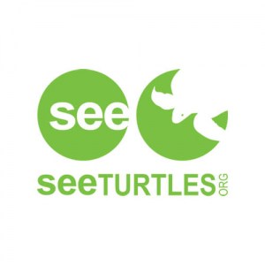 SEE Turtles logo