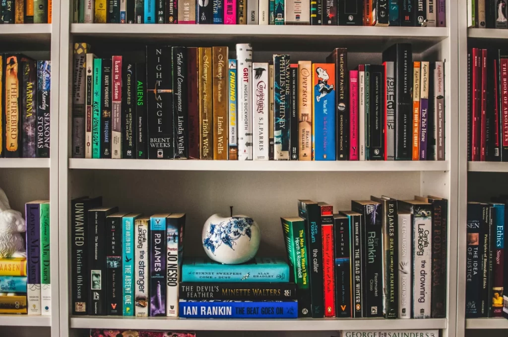 image depicts a view of a bookshelf full of books