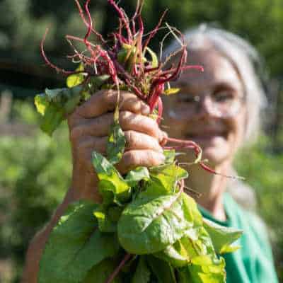 A WWOOF volunteer holds up a handful of organic vegetables
